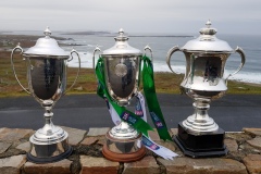 2018 Craobh Uladh, Craobh & Sraith Dhún na nGall